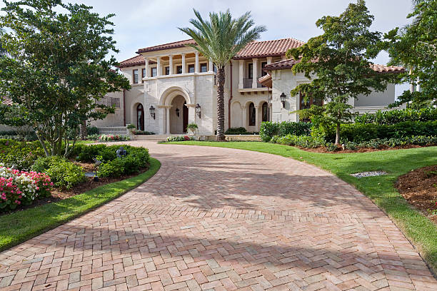 Best Driveway Pavers Contractor  in International Falls, MN